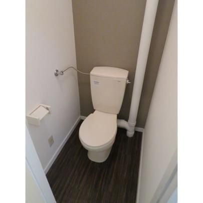 �y���̑��z�@�g�C��