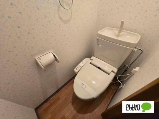 �y���̑��z�@�g�C��