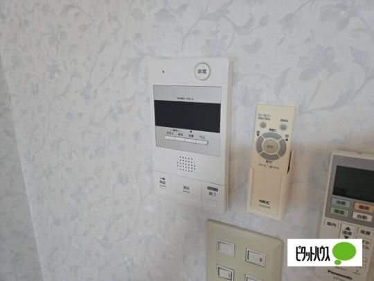 �y���̑��z�@�Z�L�����e�B