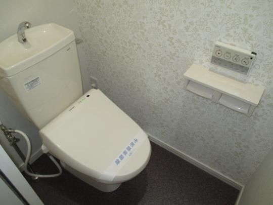 �y���̑��z�@�g�C��