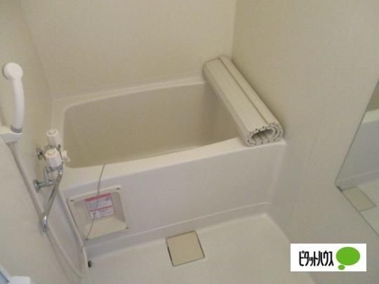 �y���̑��z�@�o�X�^�V�����[