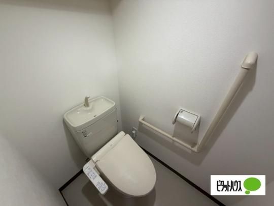 �y���̑��z�@�g�C��