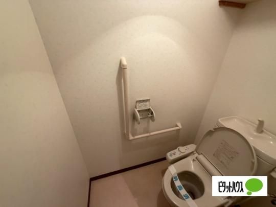 �y���̑��z�@�g�C��