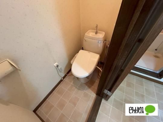 �y���̑��z�@�g�C��