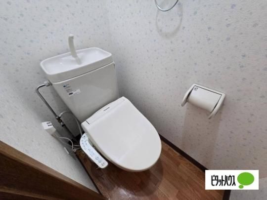 �y���̑��z�@�g�C��