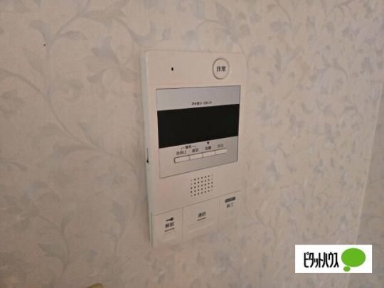 �y���̑��z�@�Z�L�����e�B