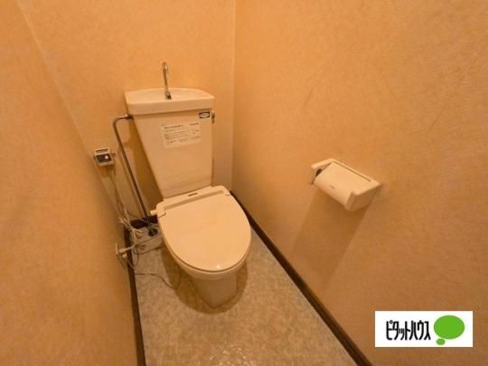 �y���̑��z�@�g�C��