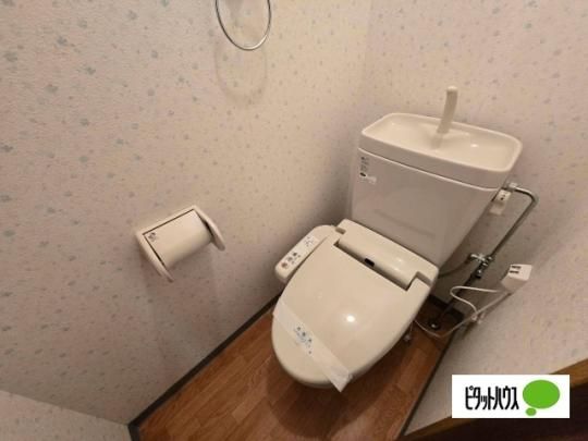 �y���̑��z�@�g�C��