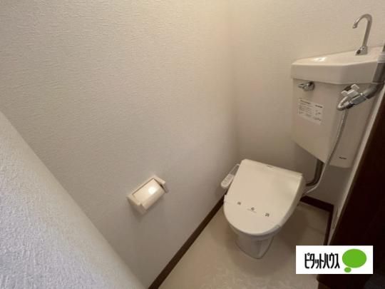 �y���̑��z�@�g�C��