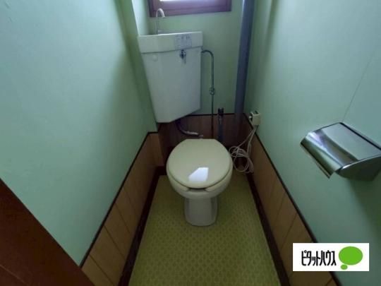 �y���̑��z�@�g�C��