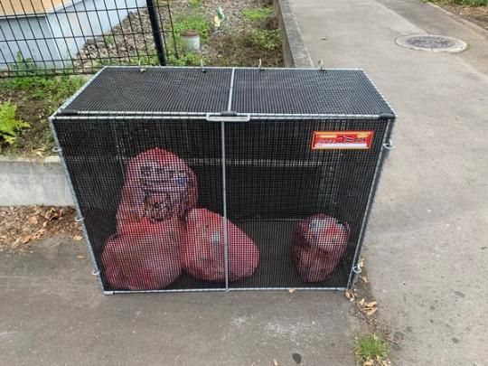 �y�����O�ρz�@���̑�