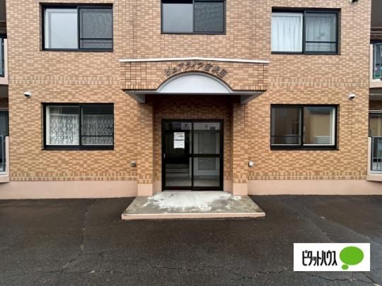 �y�����O�ρz�@�G���g�����X