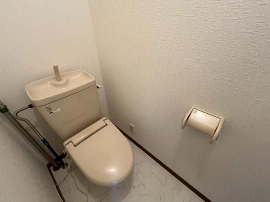 �y���̑��z�@�g�C��