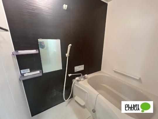 �y���̑��z�@�g�C��