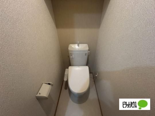 �y���̑��z�@����