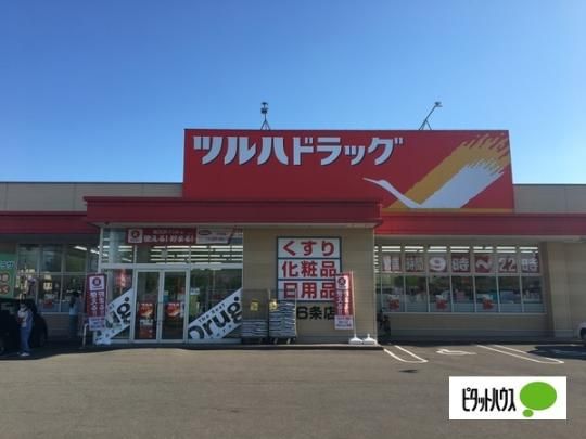 �y���Ӂz�@�c���n�h���b�O��6��X�F953m