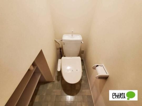 �y���̑��z�@�g�C��
