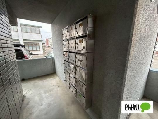 �y�����O�ρz�@���r�[