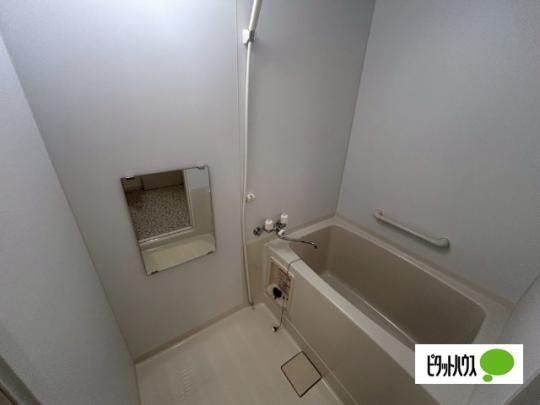 �y���̑��z�@�o�X�^�V�����[