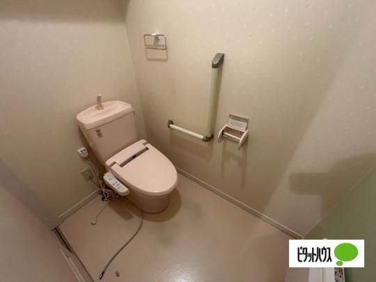 �y���̑��z�@�g�C��