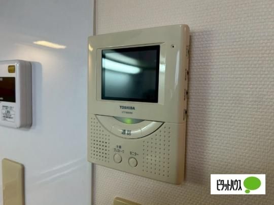 �y���̑��z�@�Z�L�����e�B