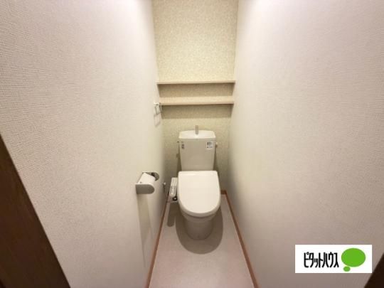 �y���̑��z�@�g�C��