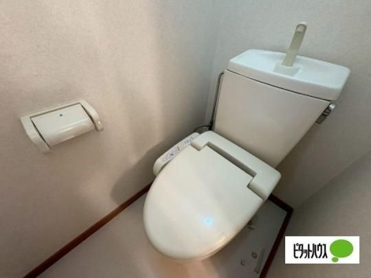 �y���̑��z�@�g�C��