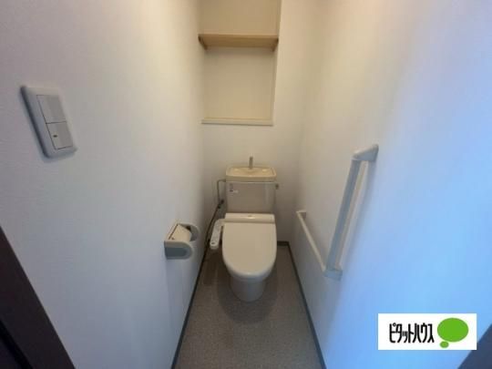 �y���̑��z�@�g�C��