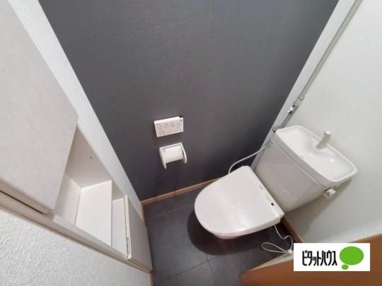 �y���̑��z�@�g�C��