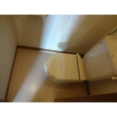 �y���̑��z�@�g�C��