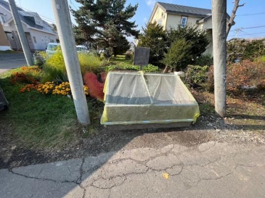 �y�����O�ρz�@���̑�