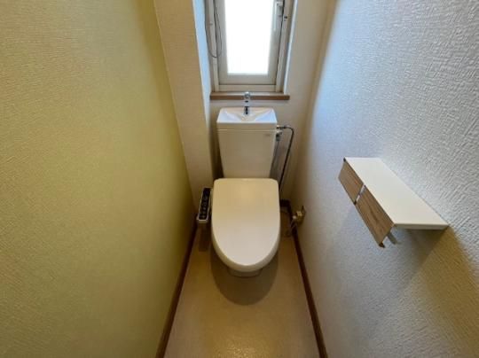 �y���̑��z�@�g�C��