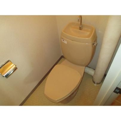 �y���̑��z�@�g�C��