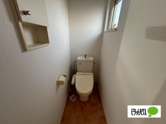 �y���̑��z�@�g�C��