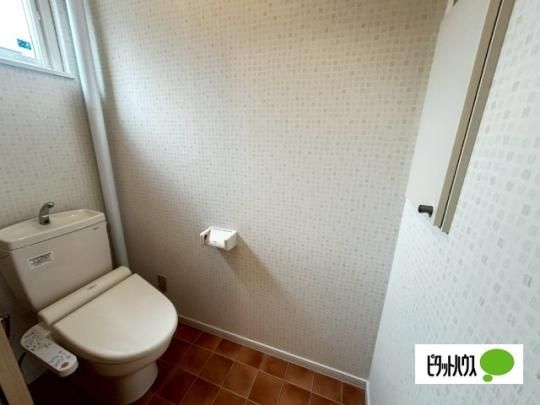 �y���̑��z�@�g�C��