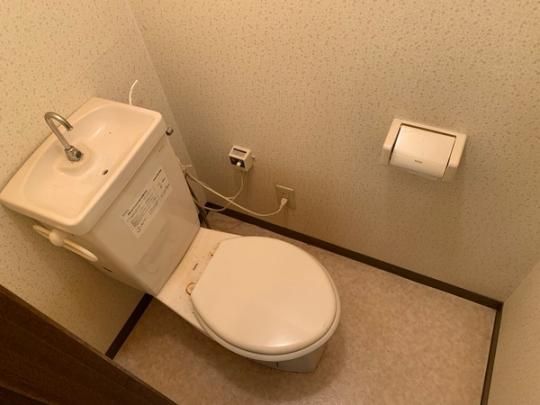 �y���̑��z�@�g�C��