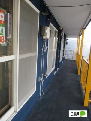 �y�����O�ρz�@���r�[