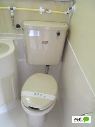 �y���̑��z�@�g�C��