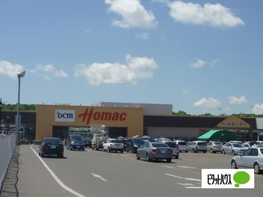 �y���Ӂz�@DCM�z�[�}�b�N�{�O�X�F2134m