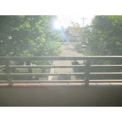 �y���̑��z�@�o���R�j�[