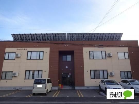 �T�����C�t����