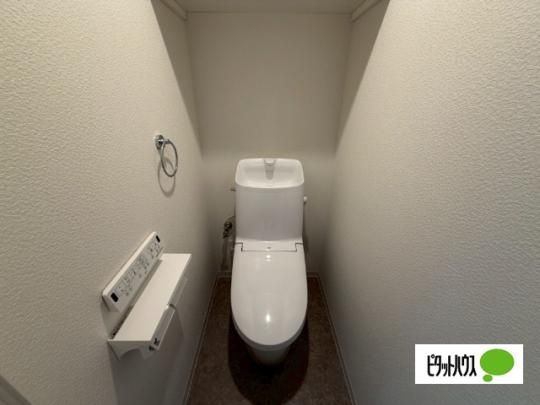�y���̑��z�@�g�C��