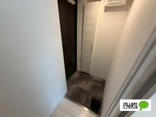 �y���̑��z�@�Z�L�����e�B