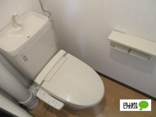 �y���̑��z�@�g�C��