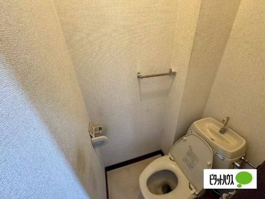 �y���̑��z�@�g�C��