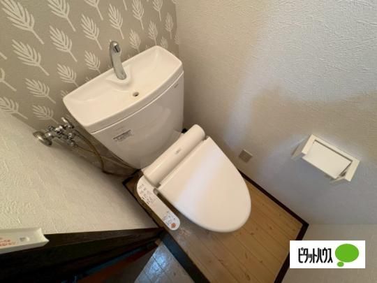 �y���̑��z�@�g�C��