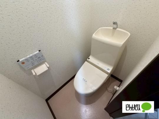 �y���̑��z�@�g�C��