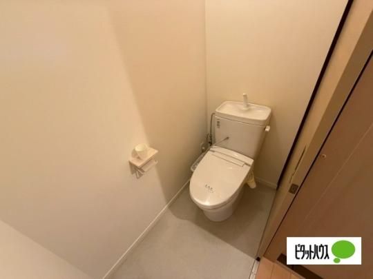 �y���̑��z�@�g�C��