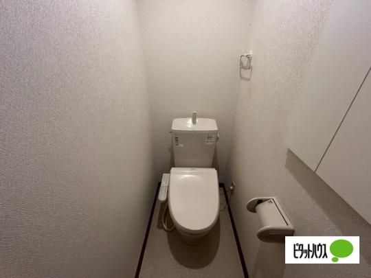 �y���̑��z�@�g�C��