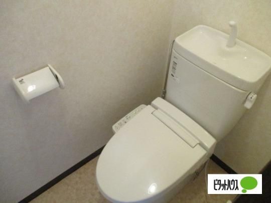 �y���̑��z�@�g�C��